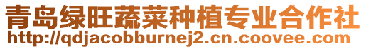 青島綠旺蔬菜種植專業(yè)合作社