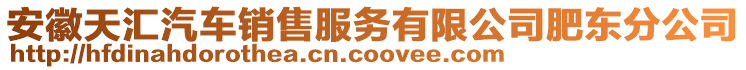 安徽天匯汽車銷售服務有限公司肥東分公司