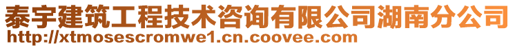 泰宇建筑工程技術(shù)咨詢有限公司湖南分公司