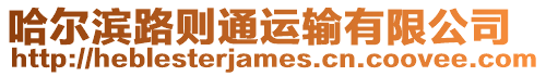 哈爾濱路則通運輸有限公司