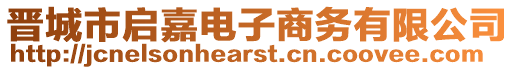 晉城市啟嘉電子商務(wù)有限公司