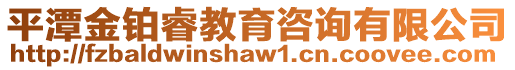 平潭金鉑睿教育咨詢有限公司
