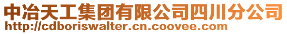 中冶天工集團有限公司四川分公司