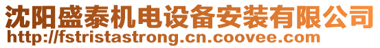 沈陽盛泰機電設備安裝有限公司