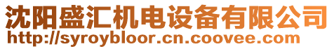 沈陽(yáng)盛匯機(jī)電設(shè)備有限公司