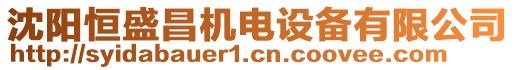 沈陽恒盛昌機電設備有限公司