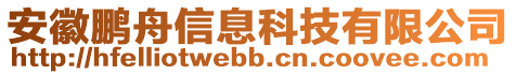 安徽鵬舟信息科技有限公司