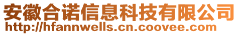 安徽合諾信息科技有限公司