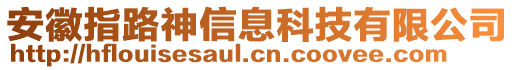 安徽指路神信息科技有限公司