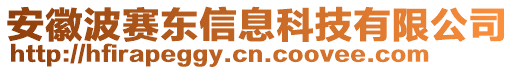 安徽波賽東信息科技有限公司