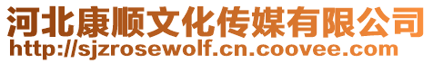 河北康順文化傳媒有限公司