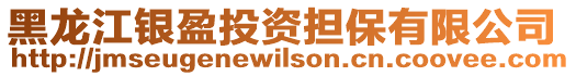 黑龍江銀盈投資擔保有限公司