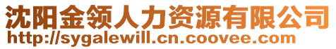 沈陽(yáng)金領(lǐng)人力資源有限公司