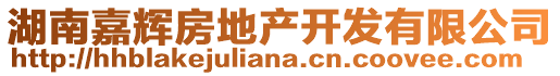 湖南嘉輝房地產開發有限公司