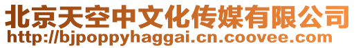 北京天空中文化傳媒有限公司