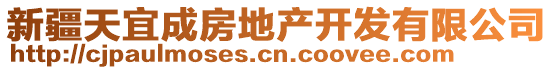 新疆天宜成房地產開發有限公司