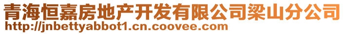 青海恒嘉房地產開發有限公司梁山分公司