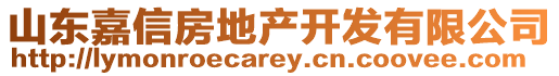 山東嘉信房地產(chǎn)開發(fā)有限公司