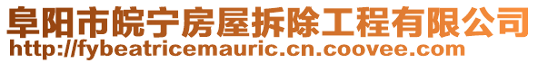 阜陽市皖寧房屋拆除工程有限公司