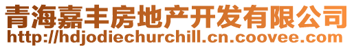 青海嘉豐房地產開發有限公司