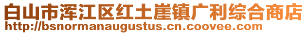 白山市渾江區紅土崖鎮廣利綜合商店