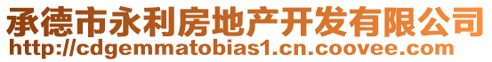 承德市永利房地產(chǎn)開發(fā)有限公司