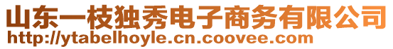 山東一枝獨(dú)秀電子商務(wù)有限公司