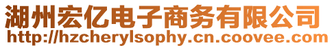 湖州宏億電子商務(wù)有限公司