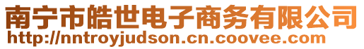 南寧市皓世電子商務(wù)有限公司