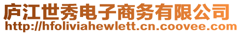 廬江世秀電子商務有限公司