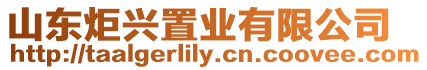 山東炬興置業(yè)有限公司