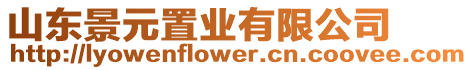 山東景元置業有限公司