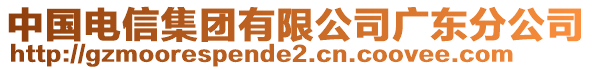 中國電信集團(tuán)有限公司廣東分公司