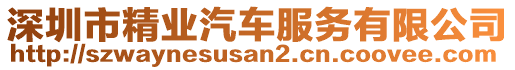 深圳市精業(yè)汽車服務(wù)有限公司