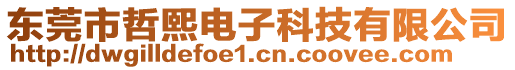 東莞市哲熙電子科技有限公司