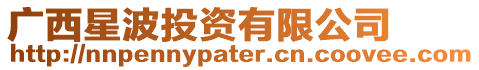 廣西星波投資有限公司