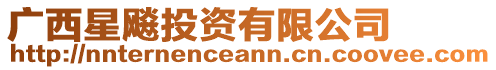 廣西星飚投資有限公司