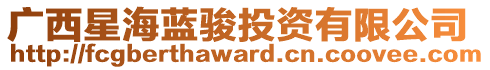 廣西星海藍(lán)駿投資有限公司