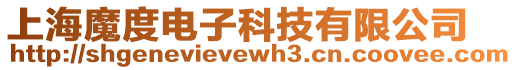 上海魔度電子科技有限公司
