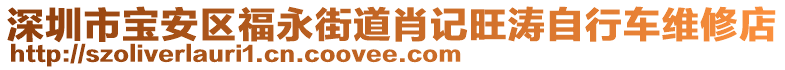 深圳市寶安區(qū)福永街道肖記旺濤自行車維修店