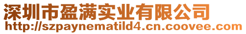 深圳市盈滿實業有限公司