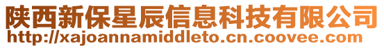 陜西新保星辰信息科技有限公司
