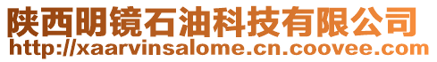 陜西明鏡石油科技有限公司