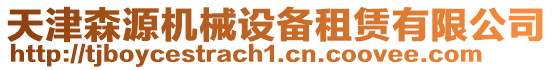 天津森源機械設備租賃有限公司