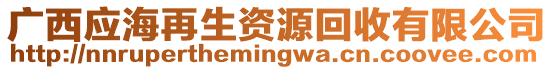 廣西應(yīng)海再生資源回收有限公司