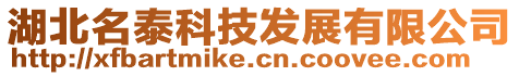 湖北名泰科技發展有限公司