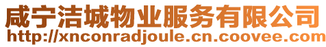 咸寧潔城物業服務有限公司