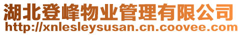 湖北登峰物業(yè)管理有限公司