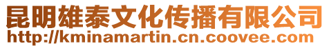 昆明雄泰文化傳播有限公司
