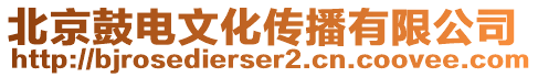 北京鼓電文化傳播有限公司